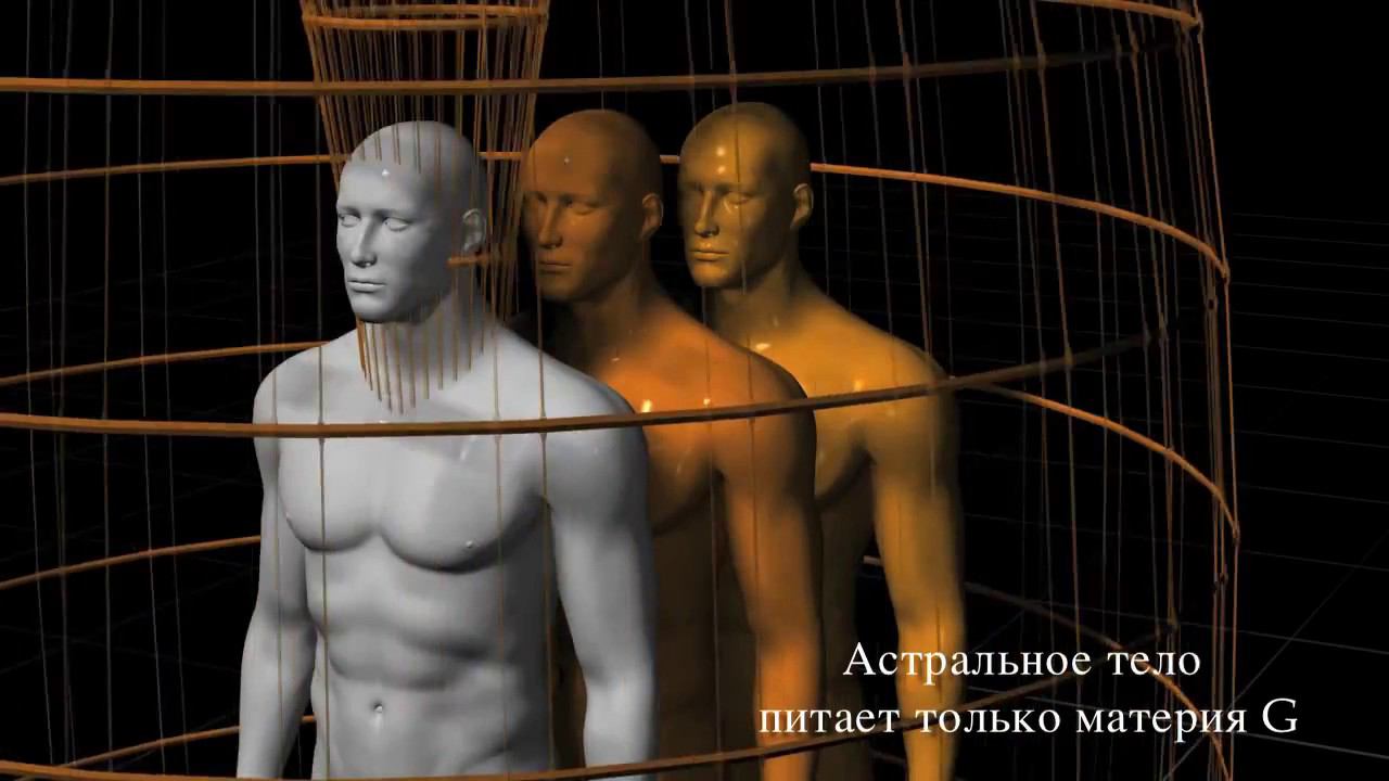 Карма. (отрывок из фильма Многообразие жизни II) смотреть онлайн