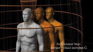 Карма. (отрывок из фильма Многообразие жизни II)