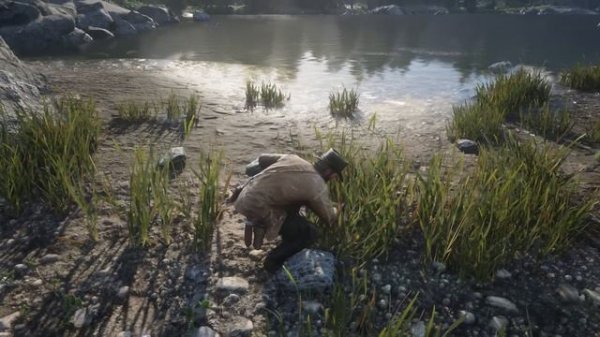 БАГИ и НЕДОРАБОТКИ в Red Dead Redemption 2 | RDR2