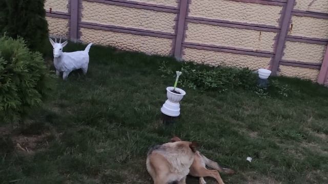 Славянск. 12 августа 2022 года. Утро. Ночью было громко. смотреть онлайн