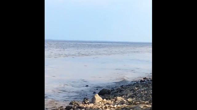 Притча "Грамматика". смотреть онлайн