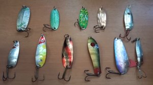 Лучшие колеблющиеся блёсны для ловли щуки летом на мелководье