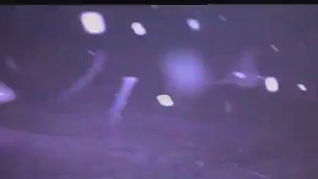 Там где раки зимуют! смотреть онлайн