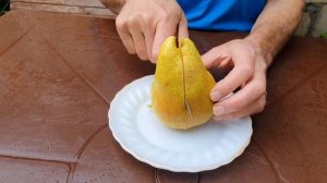 Груша БРЯНСКАЯ КРАСАВИЦА 2023