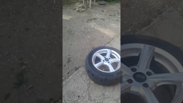 как может сгнить солярис смотреть онлайн