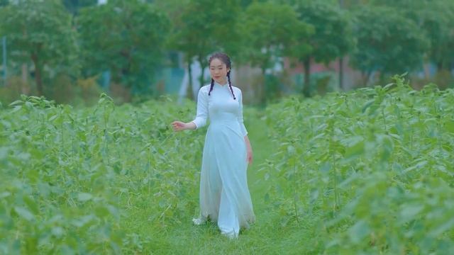Tổng Hợp TOP 20 - Tình Cây Và Đất, Lỡ Hẹn Với Dòng Lam - LK Nhạc Sống Thôn Quê Ngọt Lịm Đốn Tim ❤️ смотреть онлайн