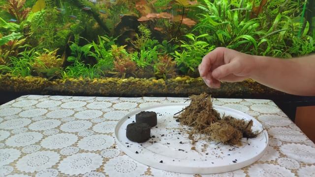 Вабикуса для аквариума своими руками смотреть онлайн