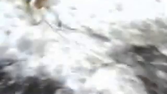 г. Меленки. у Ричи новоселие) смотреть онлайн