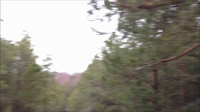 Калининград - обзор города, отзыв о регионе [2015] смотреть онлайн