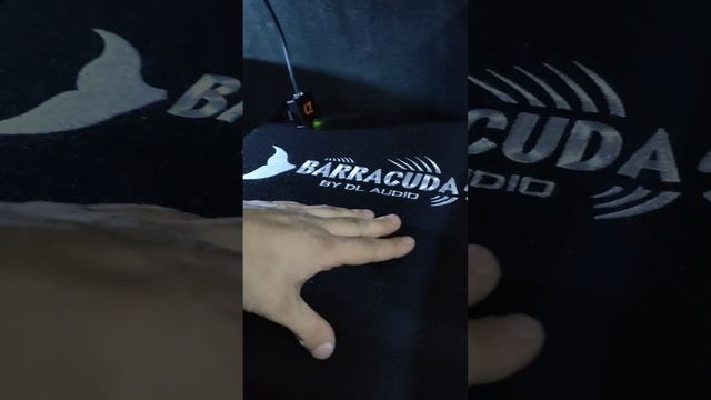 Идеальный Barracuda 12A Flat смотреть онлайн