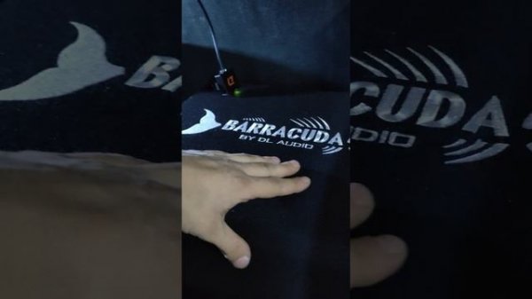 Идеальный Barracuda 12A Flat