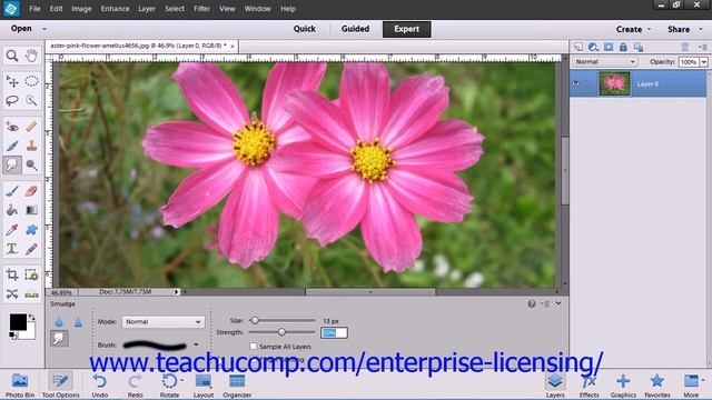Adobe Photoshop Elements 12 Tutorial Manipulating Images Employee Group Training 13.5 смотреть онлайн