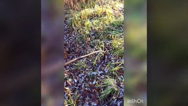 Металлокоп у старых зданий смотреть онлайн