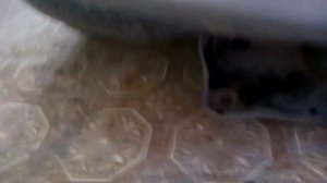 Переделка печки SsangYong Kyron