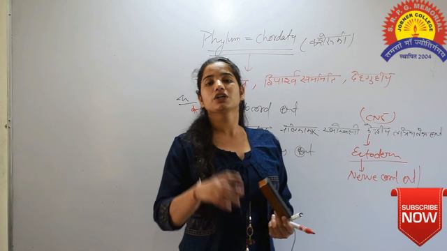 Phylum Chordata смотреть онлайн
