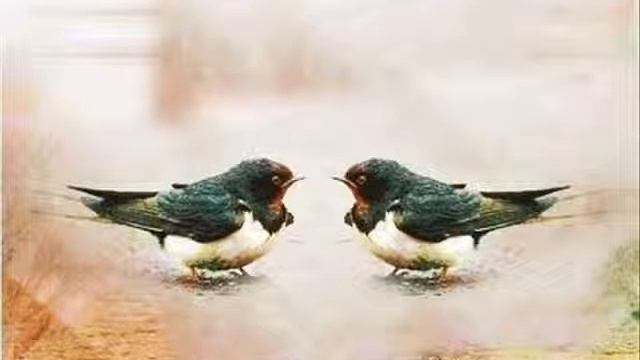 #! profile php id 100001239092893&notif t friend confirmed#! profile php id 100001239092893&notif t смотреть онлайн
