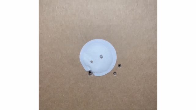 InfiRay Rico RH50 VS Pulsar Trail 2 LRF XP50 -- Accuracy Test