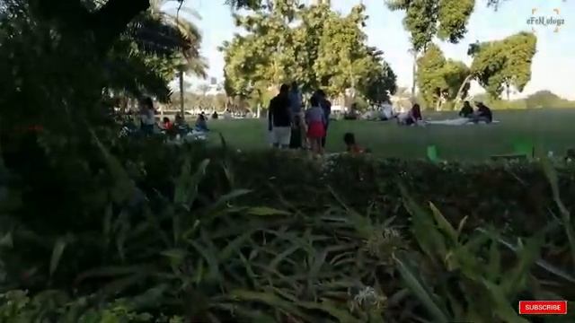 ZABEEL PARK - DUBAI смотреть онлайн