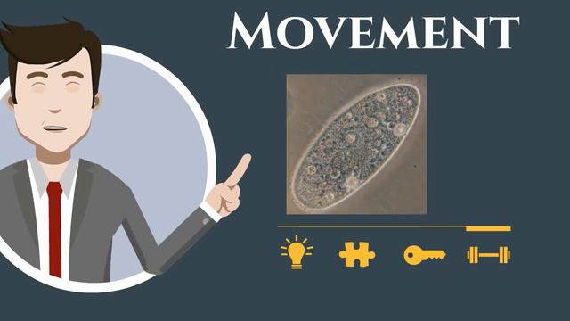 Kingdom of Protista смотреть онлайн