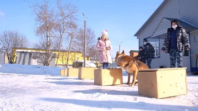 Аэрофлот - российские авиалинии