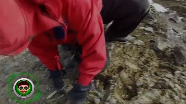 10 Шокирующих Вещей, Найденных в Антарктиде. Зомби Чез смотреть онлайн