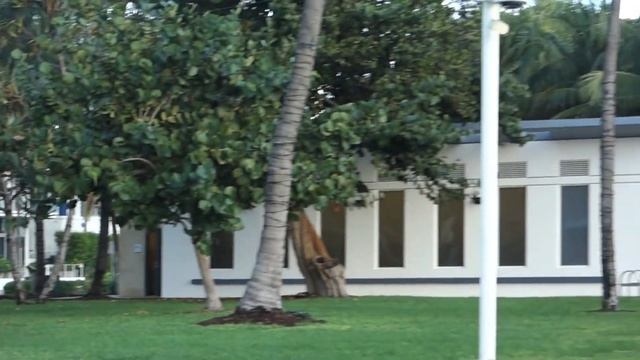 Beach Park Hotel Tour & Review (Cheap South Beach Hotel) Mediterranean Style Boutique Hotel смотреть онлайн