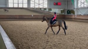 КОНОБЛОГ// Моя ТРЕНИРОВКА на Барсике