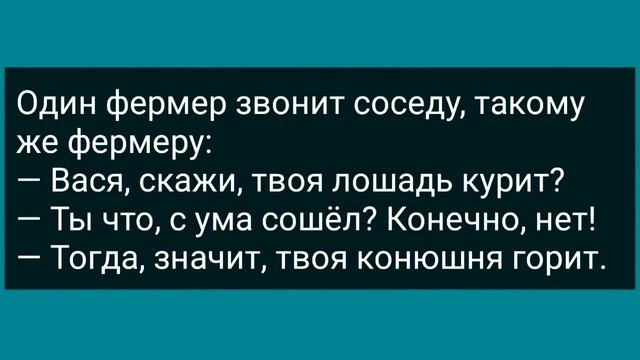 Пр@ститутка Вышла Замуж! Сборник Свежих Анекдотов! Юмор! смотреть онлайн