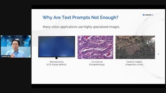 Visual Prompting Livestream With Andrew Ng смотреть онлайн