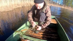 Рыбалка сетями | Часть 2