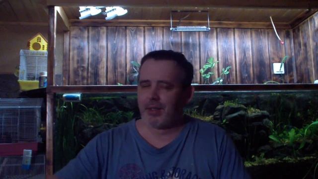 Ответ на самый популярный вопрос, почему не растут растения смотреть онлайн