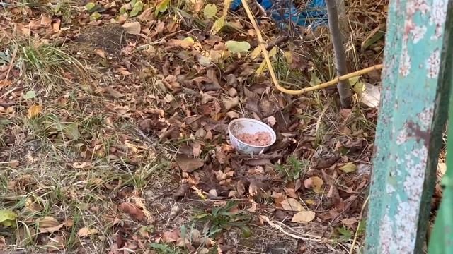 пожалел МИХАИЛ что я купил дом на Юге // МЕДЛЕННО движется работа смотреть онлайн