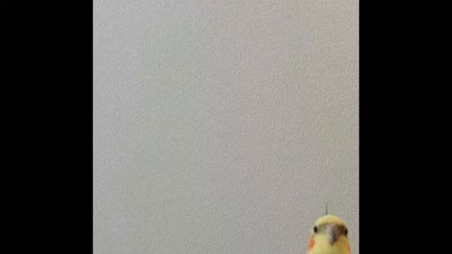 A Lil Peep Benz Truck fast ukulele cover смотреть онлайн