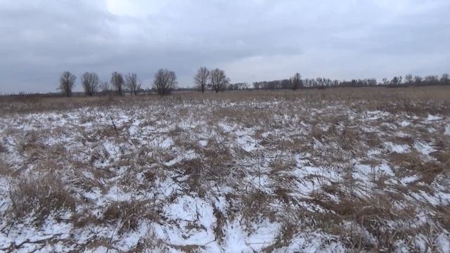 Насколько далеко могли стрелять английские лучники. смотреть онлайн