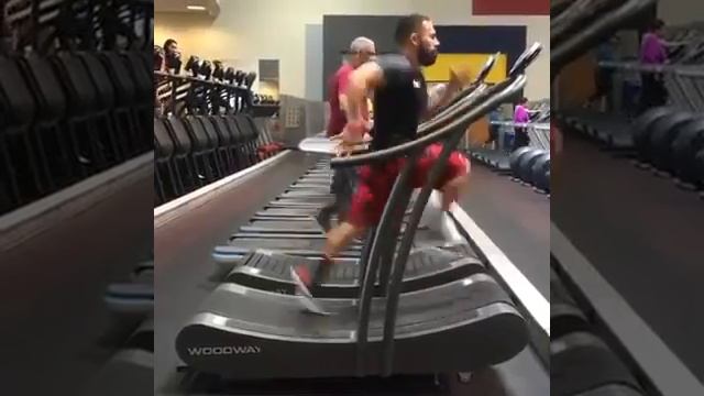 Дикая Природа в 360 Градусов