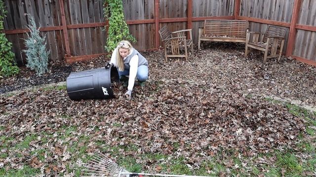 Backyard Garden Maintenance - December Leaf Cleanup смотреть онлайн