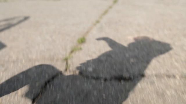 Фан клип на песню Хабиба На 4 Этаже смотреть онлайн
