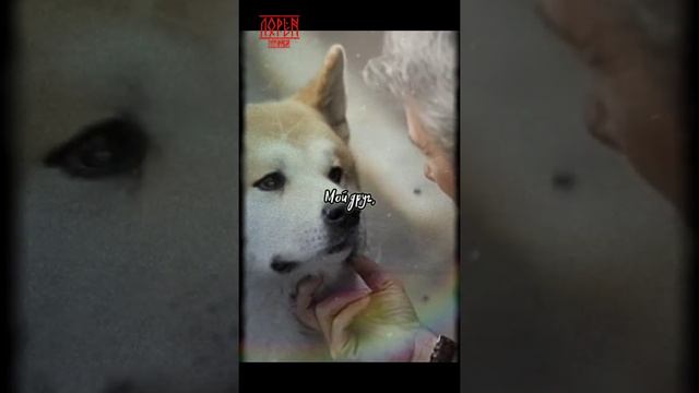 Друг. смотреть онлайн