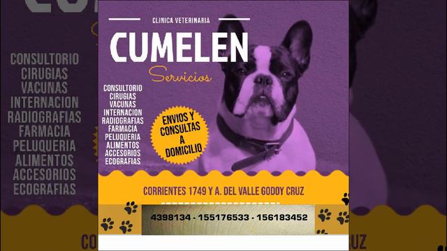 Veterinaria Cumelen