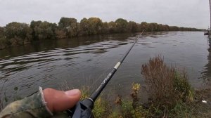 Осенний джиг на Москва-реке.Graphiteleader Vivo Prototype Nuovo-842M.