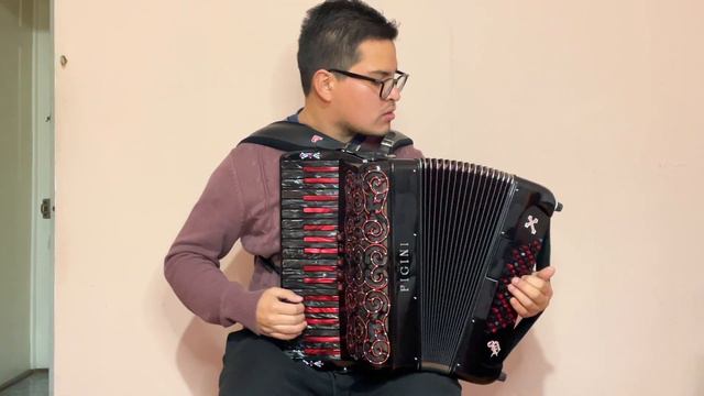 Acordeón Preludio P36/3 | Pigini Reviews 009 смотреть онлайн