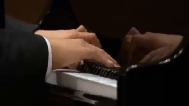 Lang Lang plays Haydn Sonata in C Major, No.50, 1st Movement. смотреть онлайн