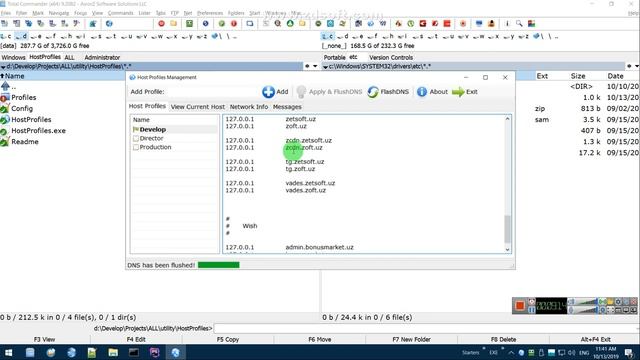 ZET Framework structure. Entrypoint script. Modules, controllers & actions. HostProfiles & Nginx смотреть онлайн