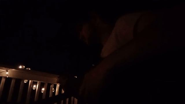 Night-time Relaxing Folk-Blues, Outdoors with the Crickets Singing (NUX Mighty Lite BT Amp Demo) смотреть онлайн