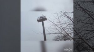 Чижи.Щеглы.Ловля на клетку.Ловля на западок.