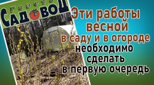 Эти работы весной в саду и в огороде необходимо сделать в первую очередь