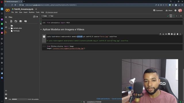 YOLO v8 Detecção e Segmentação de Imagens смотреть онлайн