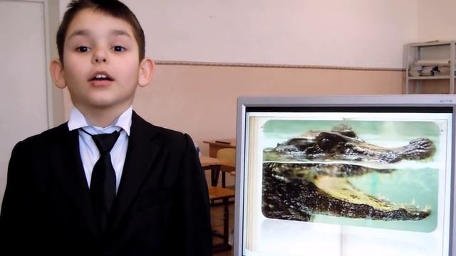 "Что ни страница, -то слон, то львица" В.В.Маяковского смотреть онлайн