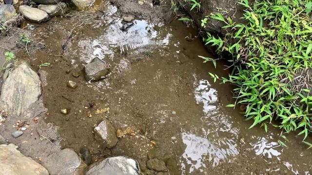 50k Subscribers? Challenge to collect Java Moss from a secret location | Awesome Nature, Waterfall смотреть онлайн