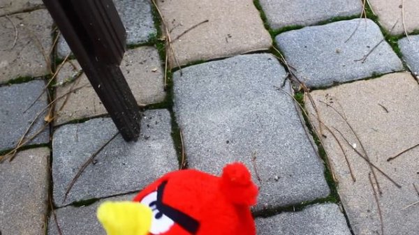 All Clucked Up | Angry Birds Plush